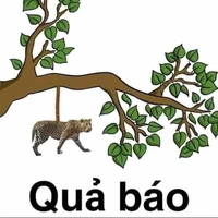 All trừ những ai cần trừ