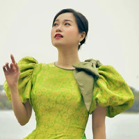 Lâm Vỹ Dạ