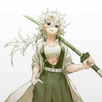 Mei Shinazugawa(kibutsuji)