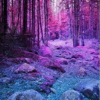 Quần chúng nhân dân