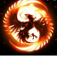 phoenix hỏa [ bé bông]