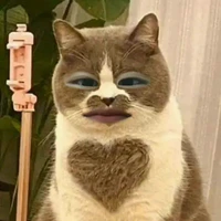 mồn lèo 🌚💩