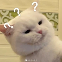 Tác giả