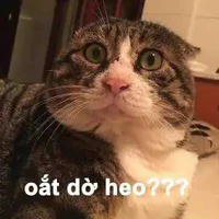 all