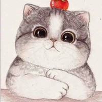 Taru - tác giả cute 