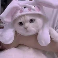 chủ tuss quyền lực