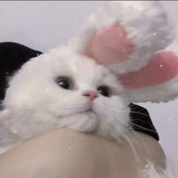 Riihana<3✨ Tác Giả Đẹp Chai