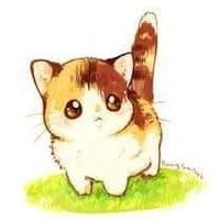 Tiểu mao(Dạng mèo)