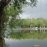 Chị em Hangaki