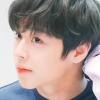 Lưu Nhất Phàm