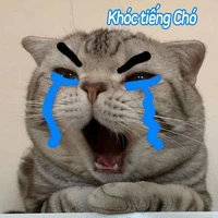 tác giả ngố