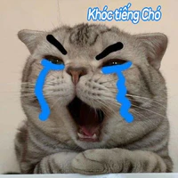 tác giả ngố