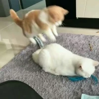 tác giả thân thiện