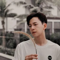 Ngô Kiến Huy