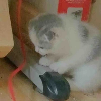 T/g xink xắn👁👄👁