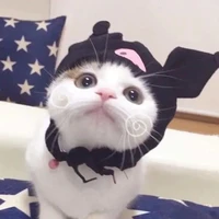Tất cả những người có mặt