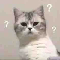 Người bí ẩn :)))