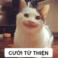 Ả Rập Xê Út [ Trợ lý em của Au ]