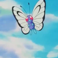 butterfree của dervish/công