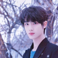 Đinh Trình Hâm 🦊