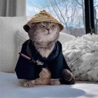 Tiểu meo