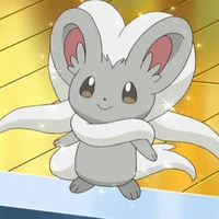 Minccino