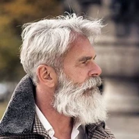 Mạc Đinh (ông nội nữ chính)