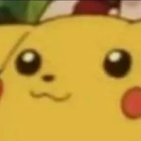 Y/N