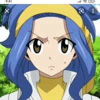 Levy