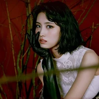 Momo