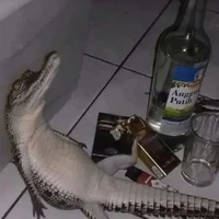 T/G Má Thiên hạ :)