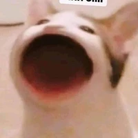 T/g