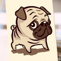 🐶 ngáo