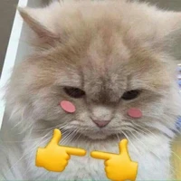 cả bọn
