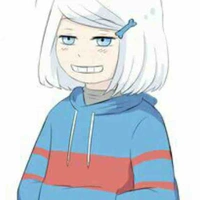 Y/N sans