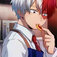 Todoroki Shouto