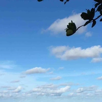 Con tác giả xạo l*n