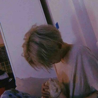 Phượng Hải ( bn na9 )