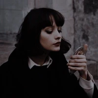 pansy