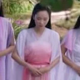 Hoa Tiên 🌺