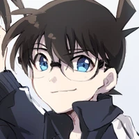 edogawa conan /kudo shinichi/