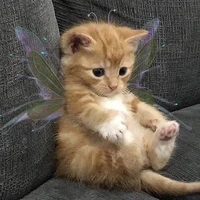 Tác giả hảo hán