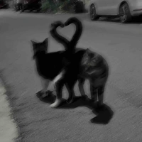 ❤ Bơ ❤️ Tác Giả Đoá🎀😗