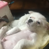 An