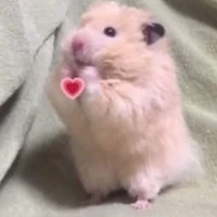 mọi người còn lại