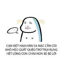 Những đứa có mặt