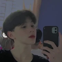 Trần Triệu Long