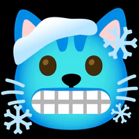 cold cat