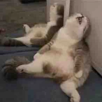 Người dân xung quanh