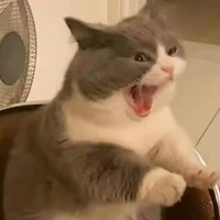 Tác giả